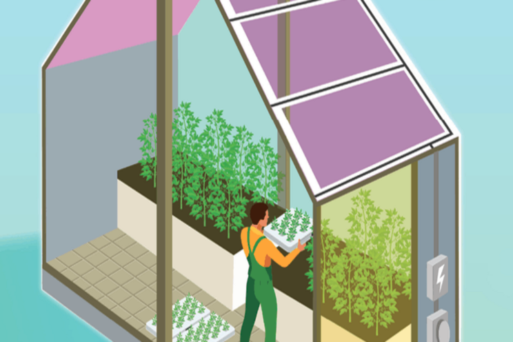 The future of greenhouses