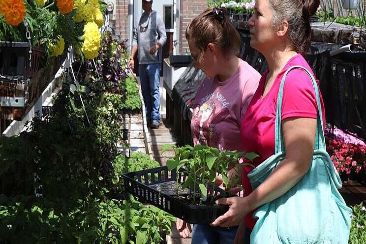 WHS greenhouse is open for business