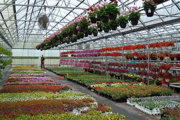 Easing restrictions on garden centers, greenhouses