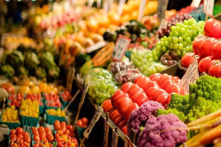 Export of vegetables, fruits may begin soon