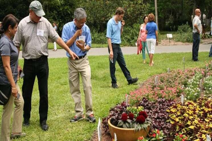 Florida Flower Trials move online