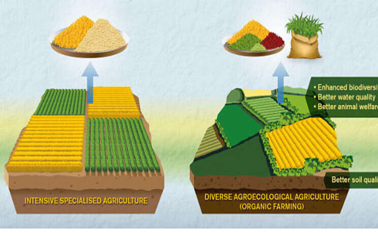 How we look at organic vs. conventional ag