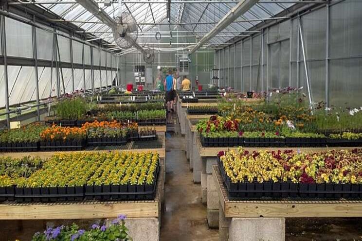 Dutch companies help Russia develop horticulture sector