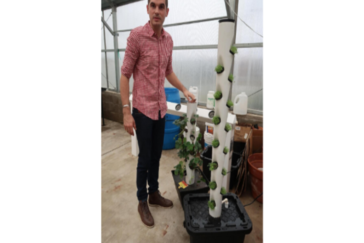 Vertical growth with hydroponic towers