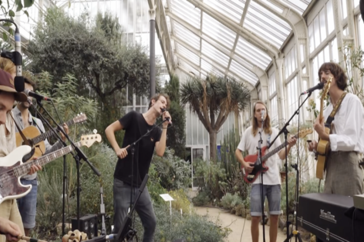 Funky music in a greenhouse   