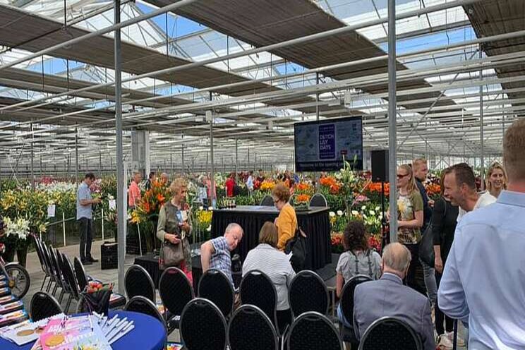 Dutch Lily Days 2020 canceled due to Coronavirus