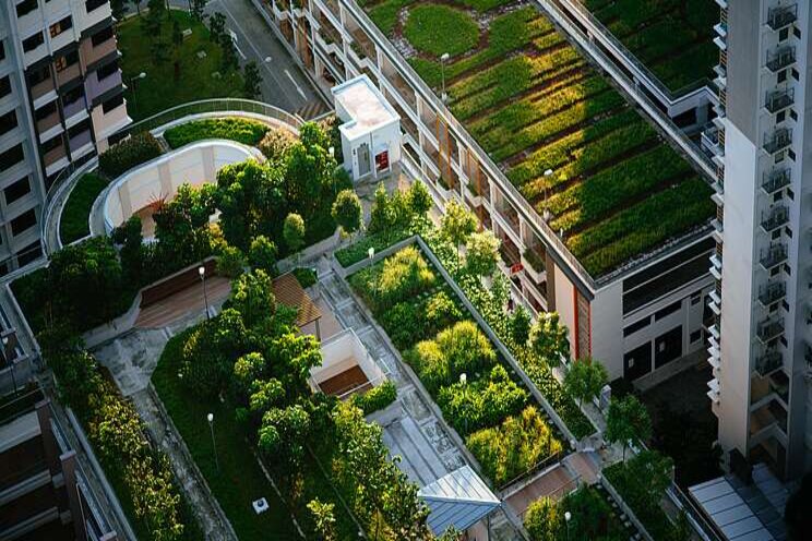 Tiny city gardens to provide tons of fresh produce