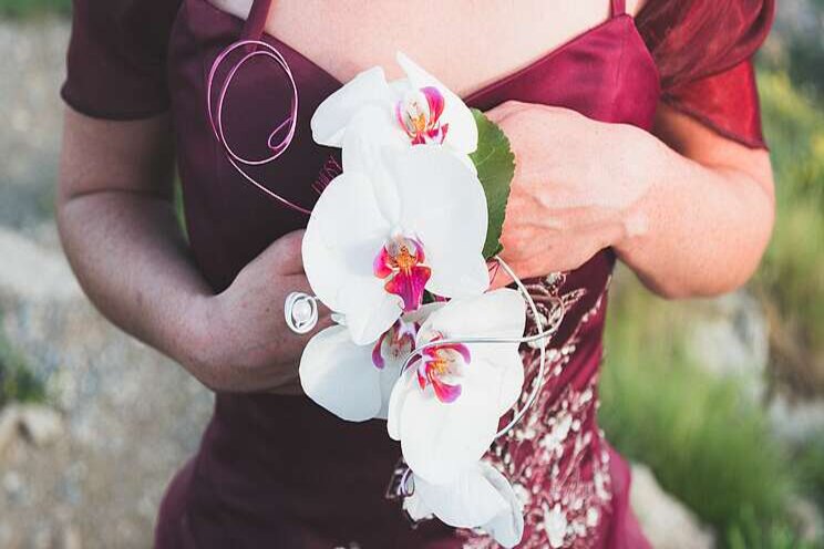 No greenhouse necessary to take care of orchids