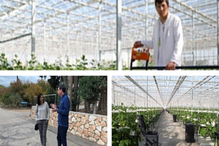 Extending activity in the global greenhouse market