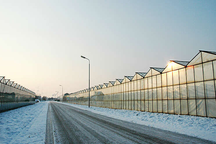 Greenhouse heating alternatives