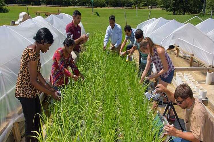 Plants for our future climate