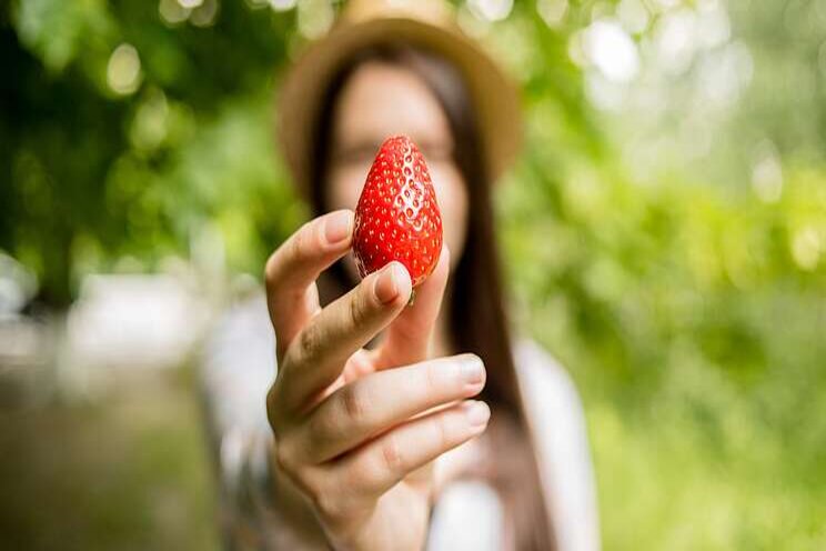 Bio-insecticide use for greenhouse strawberries