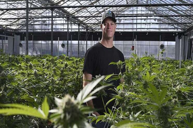 Glass House Farms expansion making waves