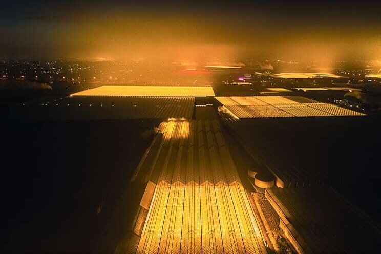 Capturing Holland's LED greenhouses