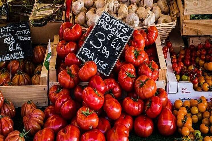 France's entire tomato stock under threat from deadly virus