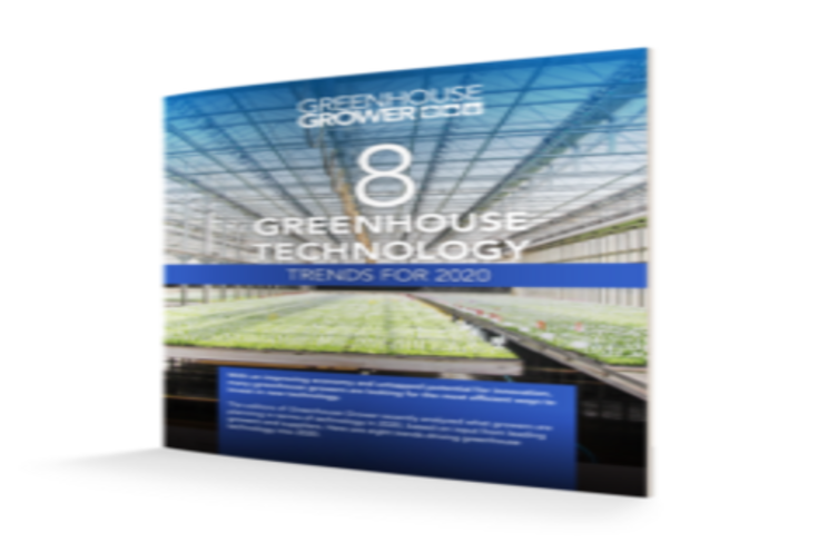 8 Trends driving greenhouse tech