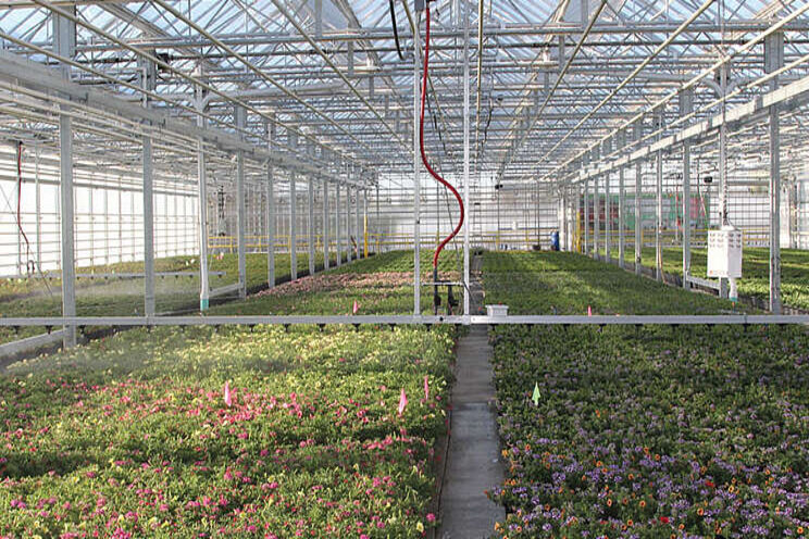 Ohio Ornamentals Grower expands market share