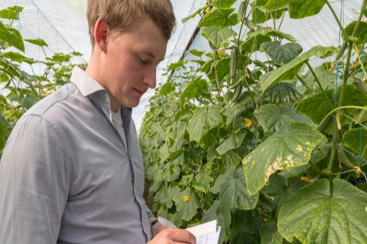 Finding talent will be a problem in vegetables