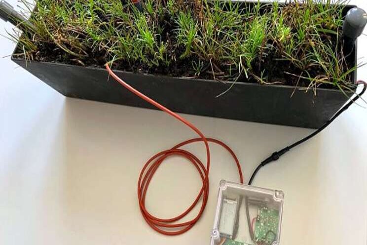 First plant-powered sensor sends signal to space