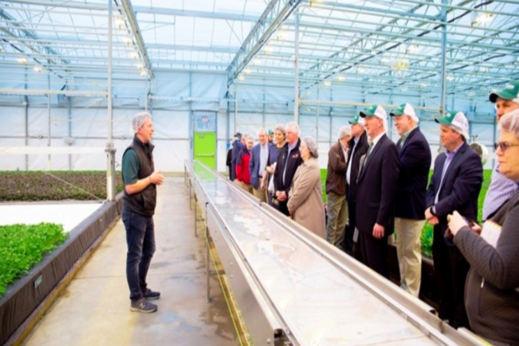 The largest greenhouse to date