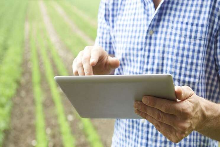 Smart farming technologies bear fruitful results