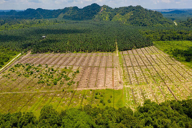 Action on biodiversity