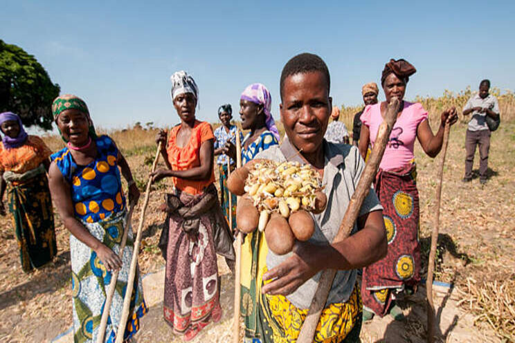 Working on climate-resilient agriculture in East Africa