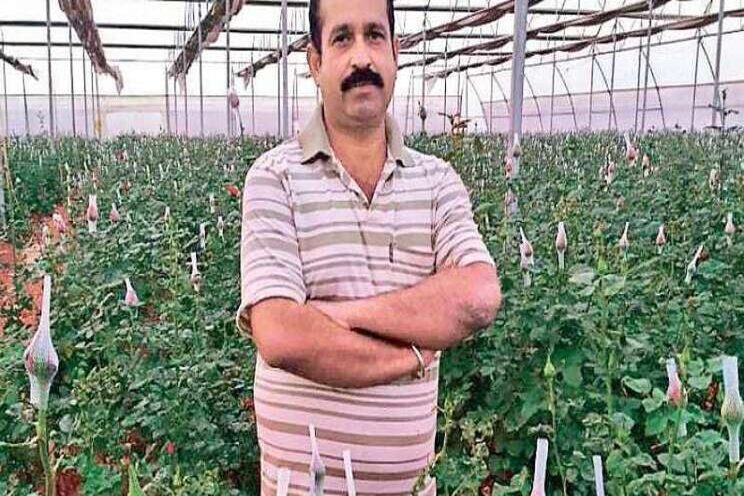 Sambalpur farmer strikes gold with roses