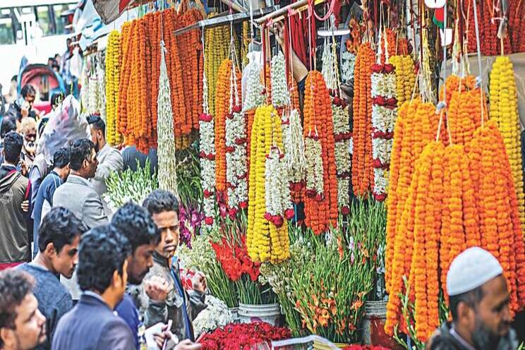 New Year cheer for flower farmers