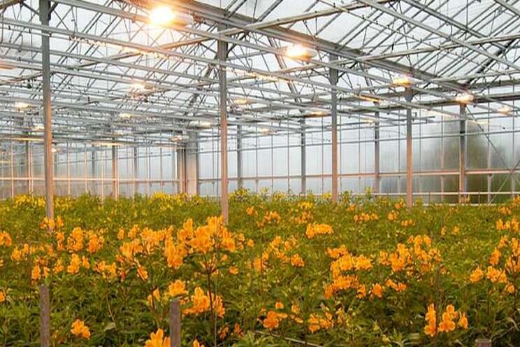 Tips on dealing with greenhouse heating issues