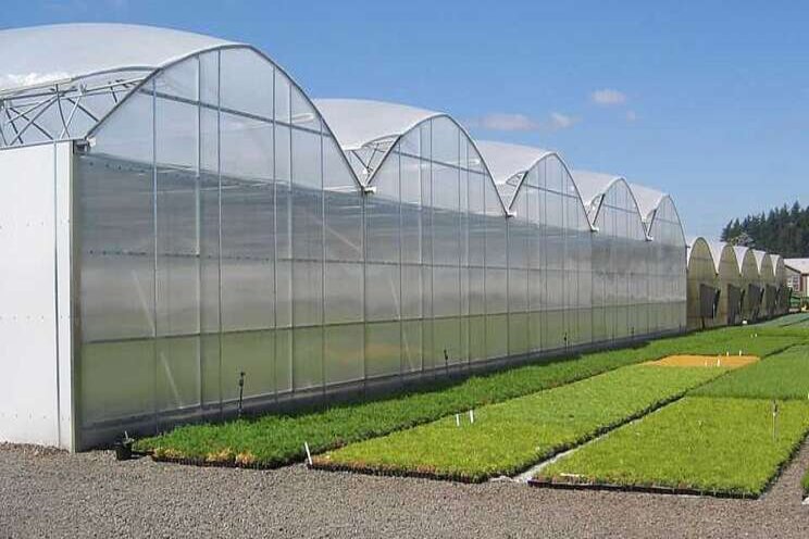 Top 5 greenhouse tech stories of 2019